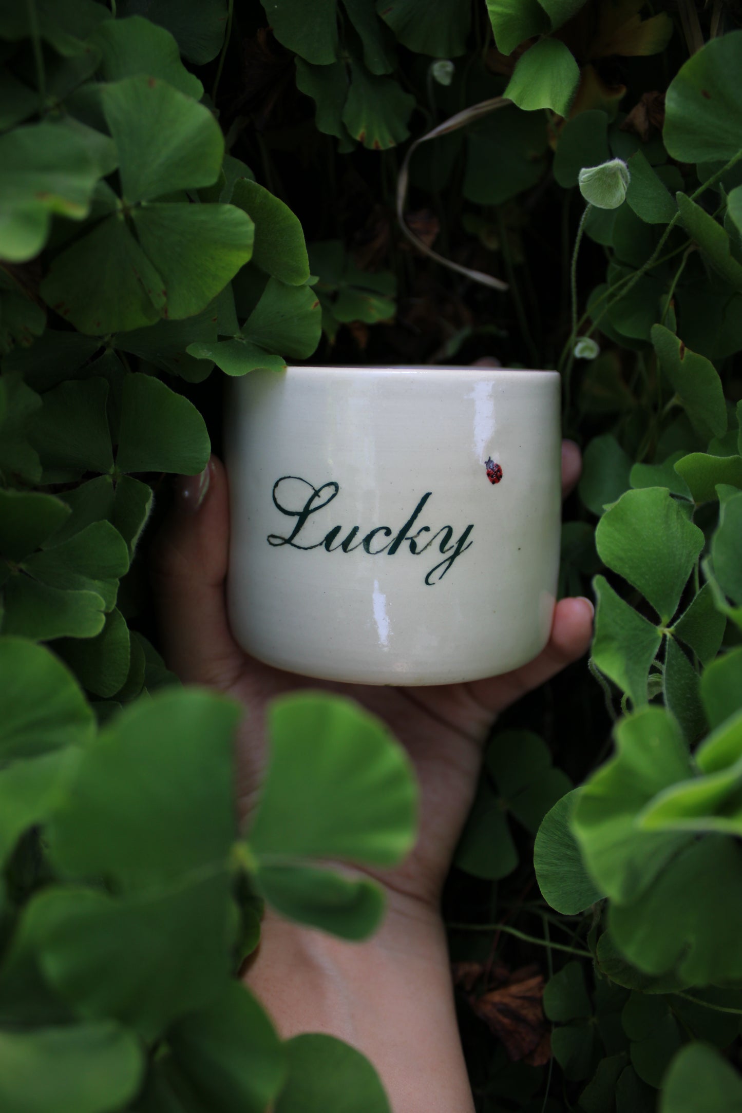 Lucky Cup (Pre-Order)