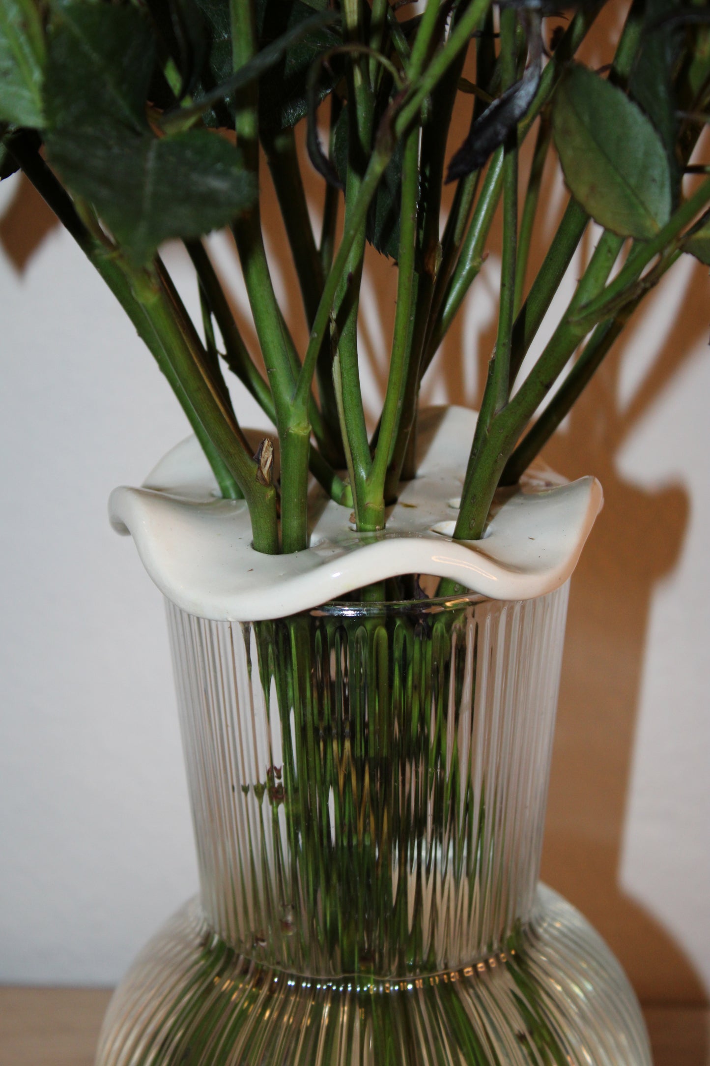 Wavy Flower Frog (Pre-Order)